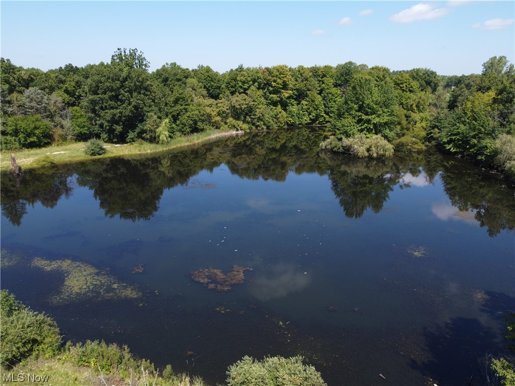 8280 Lafayette Road Lodi, OH 44254 - Photo 2 of 35 View of water feature