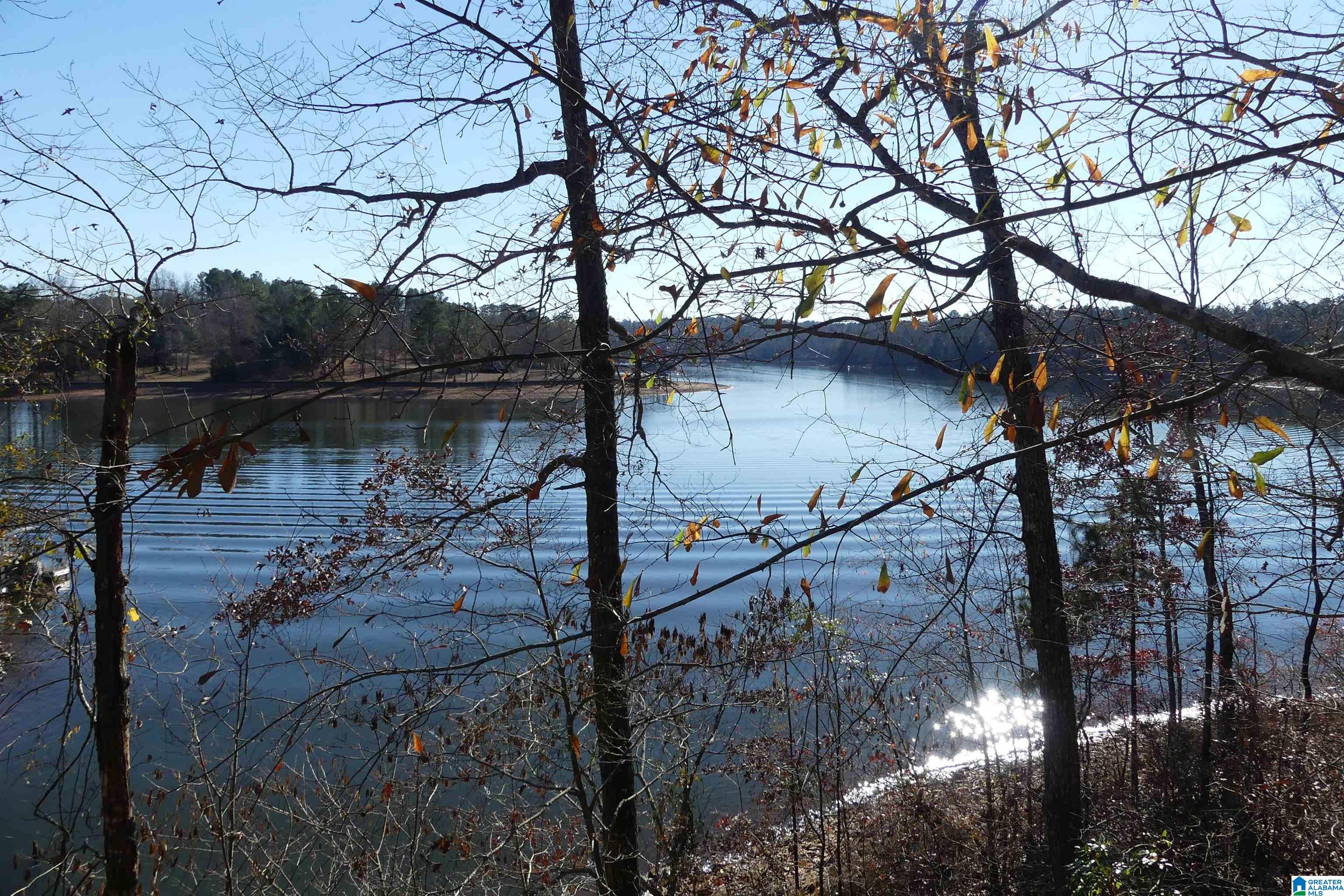 2844 County Road 256 Wedowee, AL 36278 - Photo 48 of 50