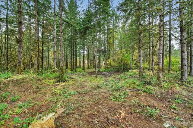 a view of outdoor space and green space