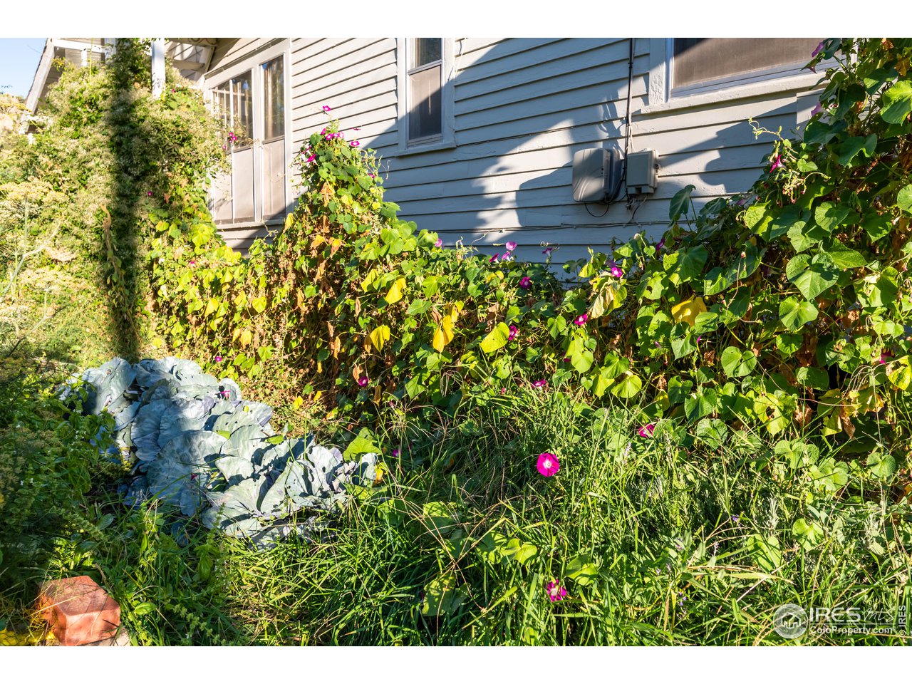 2430 4th Street Boulder, CO 80304 - Photo 20 of 24 Serene Vegetable Garden