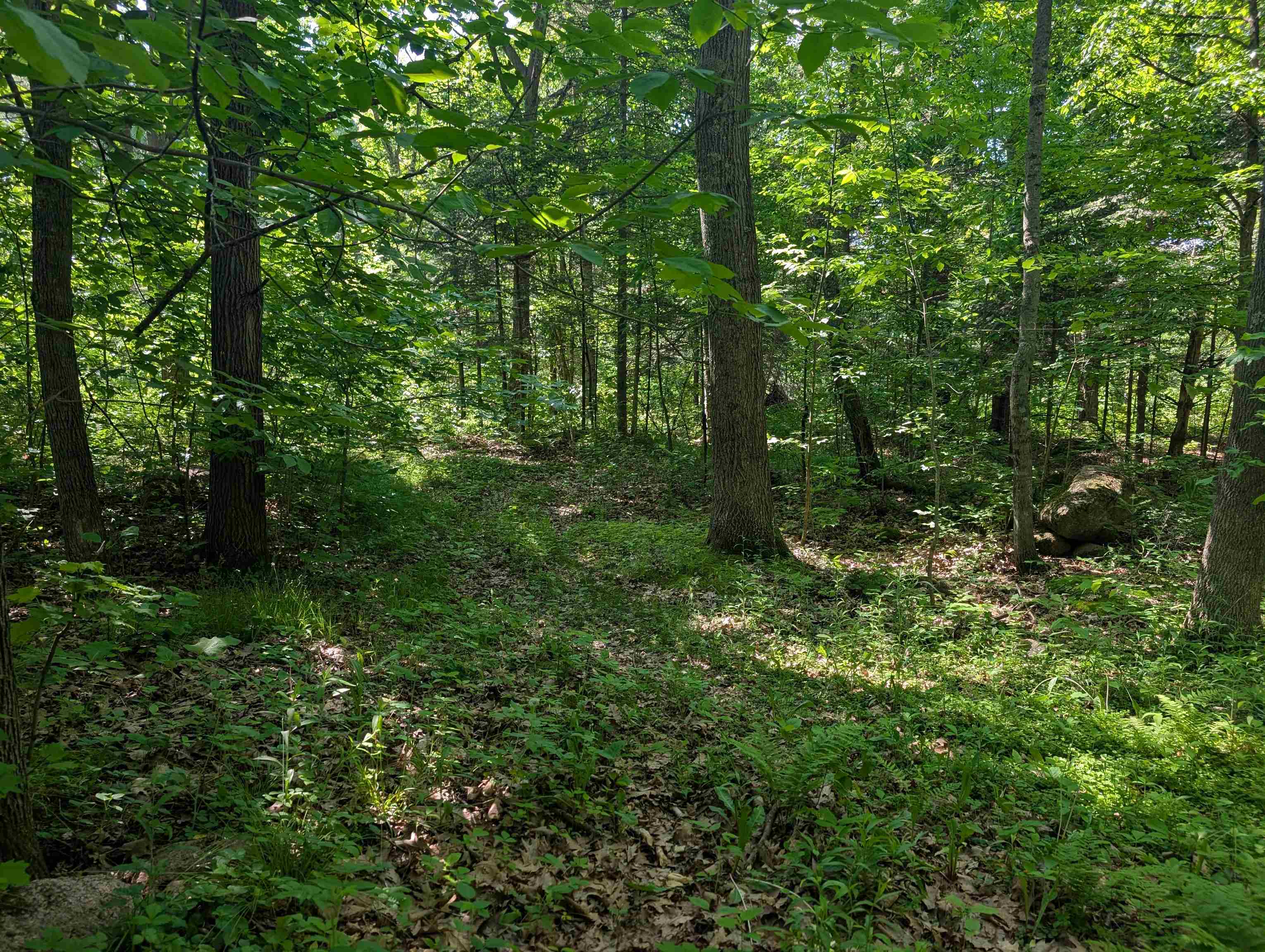 222814 Hidden Valley Road Hatley, WI 54440 - Photo 50 of 58