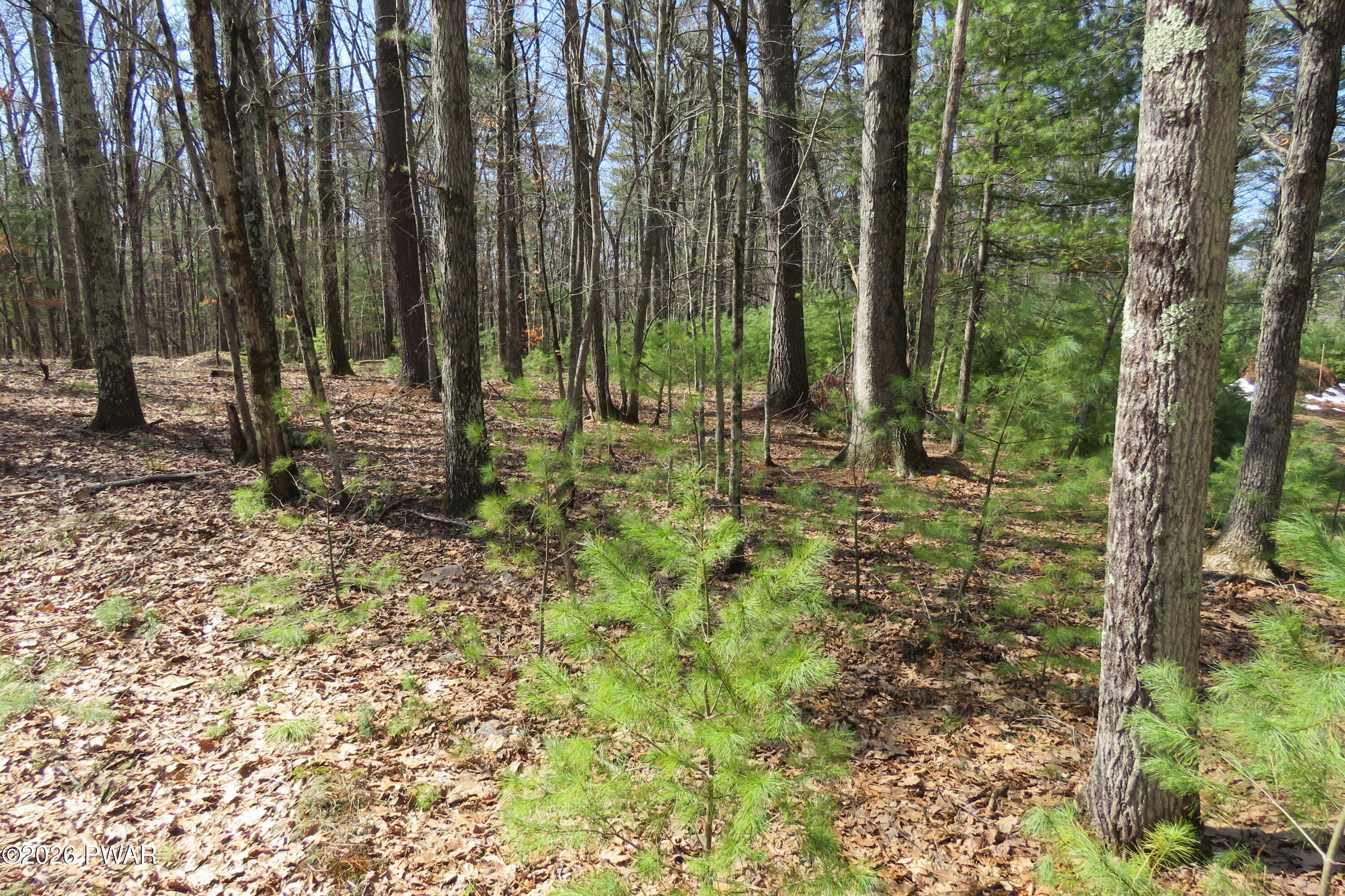 Lot 30 Ledgecrest Road Greentown, PA 18426 - Photo 3 of 22