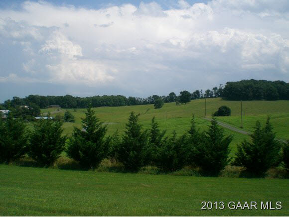 1115 Middlebrook Road Staunton, VA 24401 - Photo 6 of 12 a view of a big yard with plants and large trees