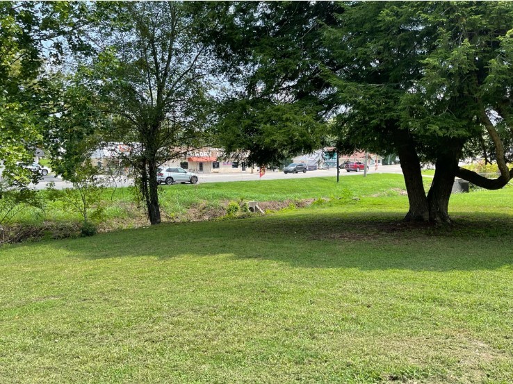 481 West Broad Street Smithville, TN 37166 - Photo 22 of 27 a view of a trees in a yard