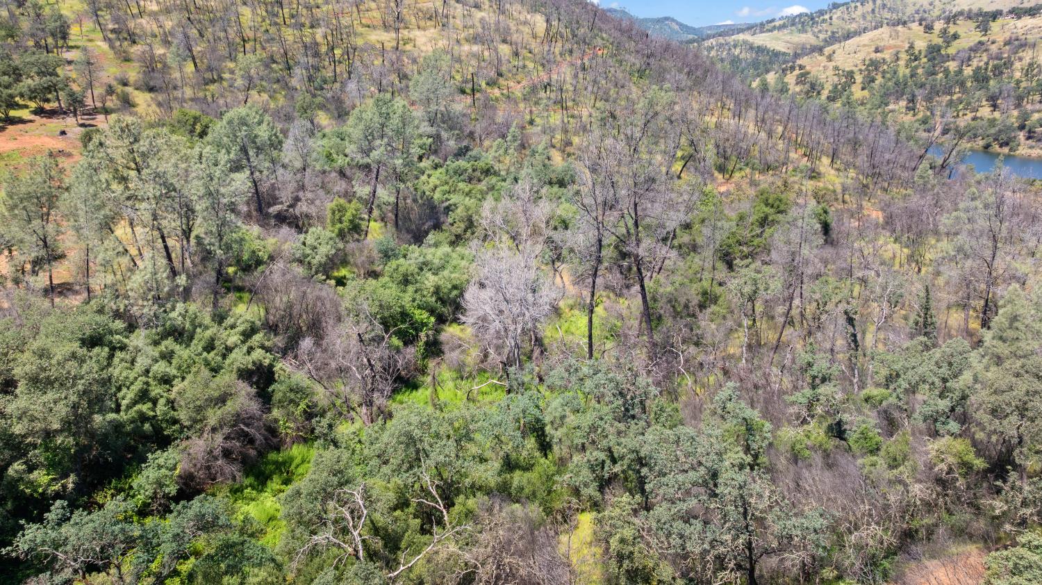 0 Long Bar Road Oroville, CA 95966 - Photo 5 of 9