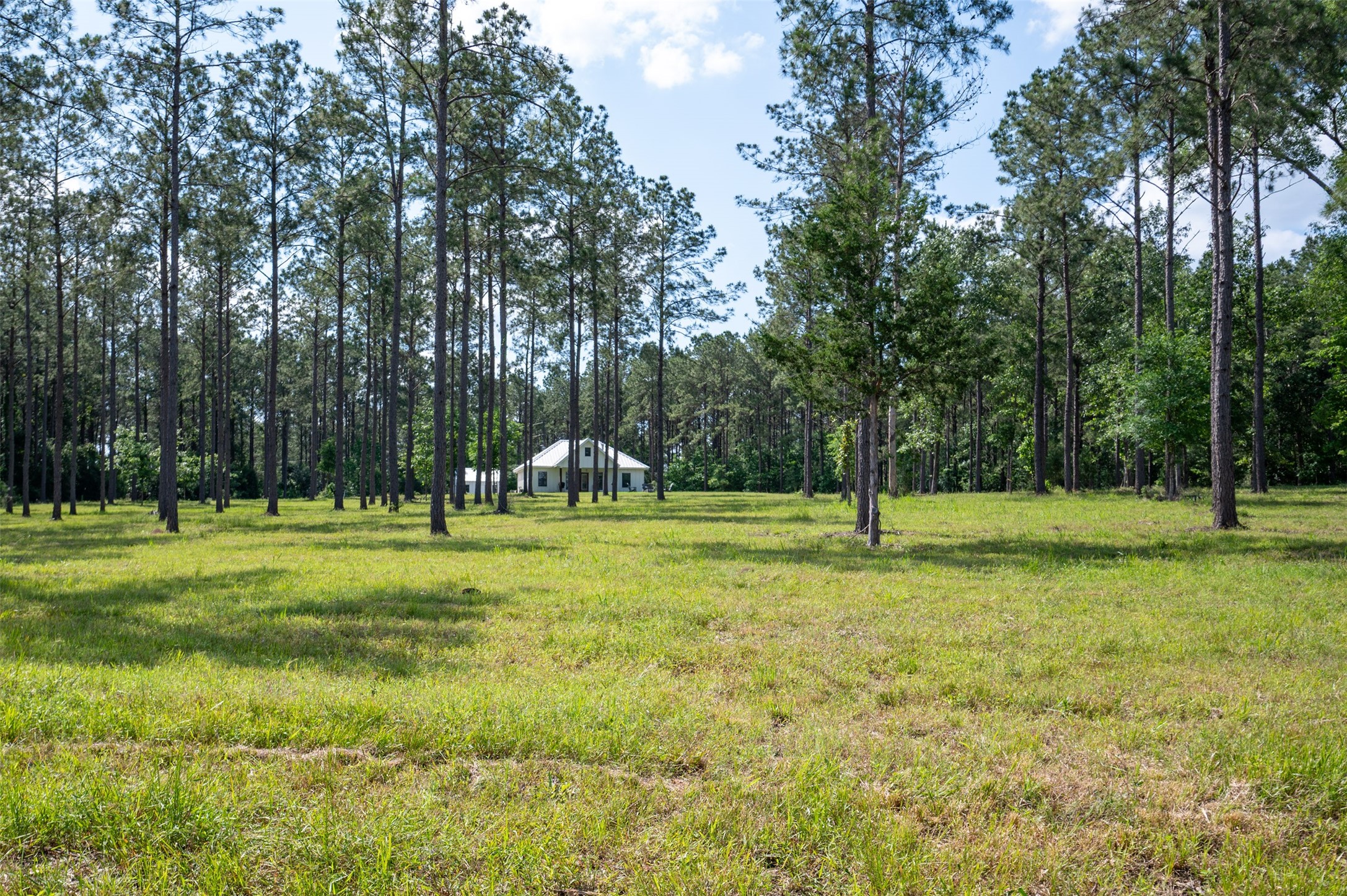 1068 County Road 3200 Colmesneil, TX 75938 - Photo 2 of 43