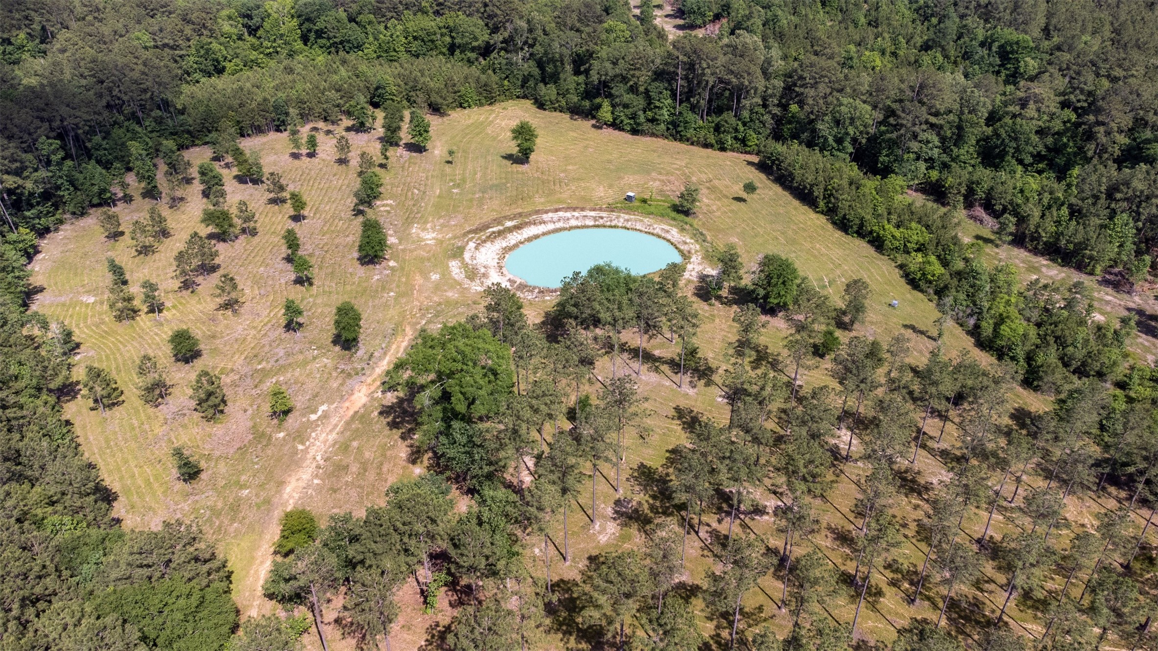 1068 County Road 3200 Colmesneil, TX 75938 - Photo 42 of 43