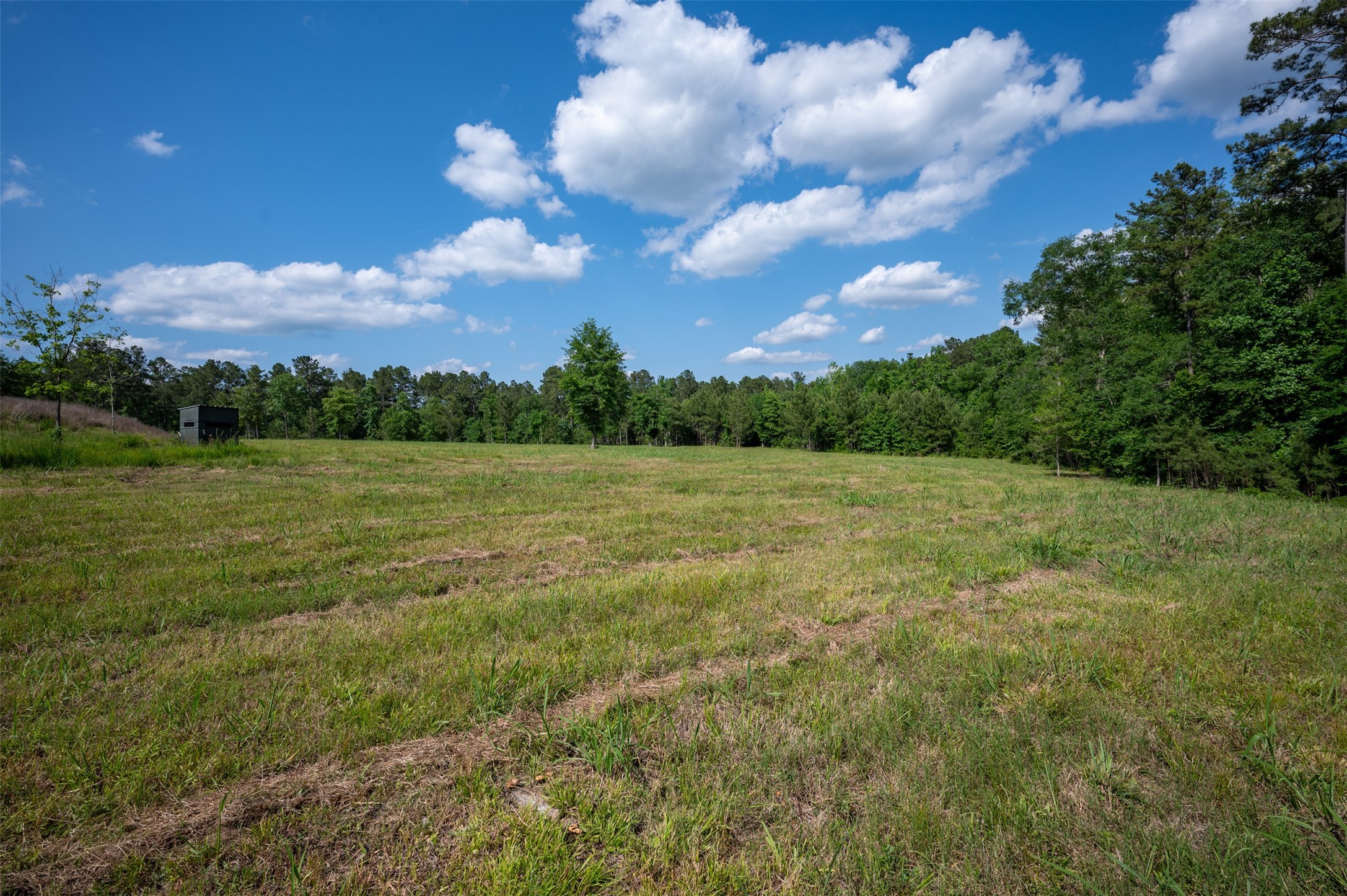 1068 County Road 3200 Colmesneil, TX 75938 - Photo 10 of 43