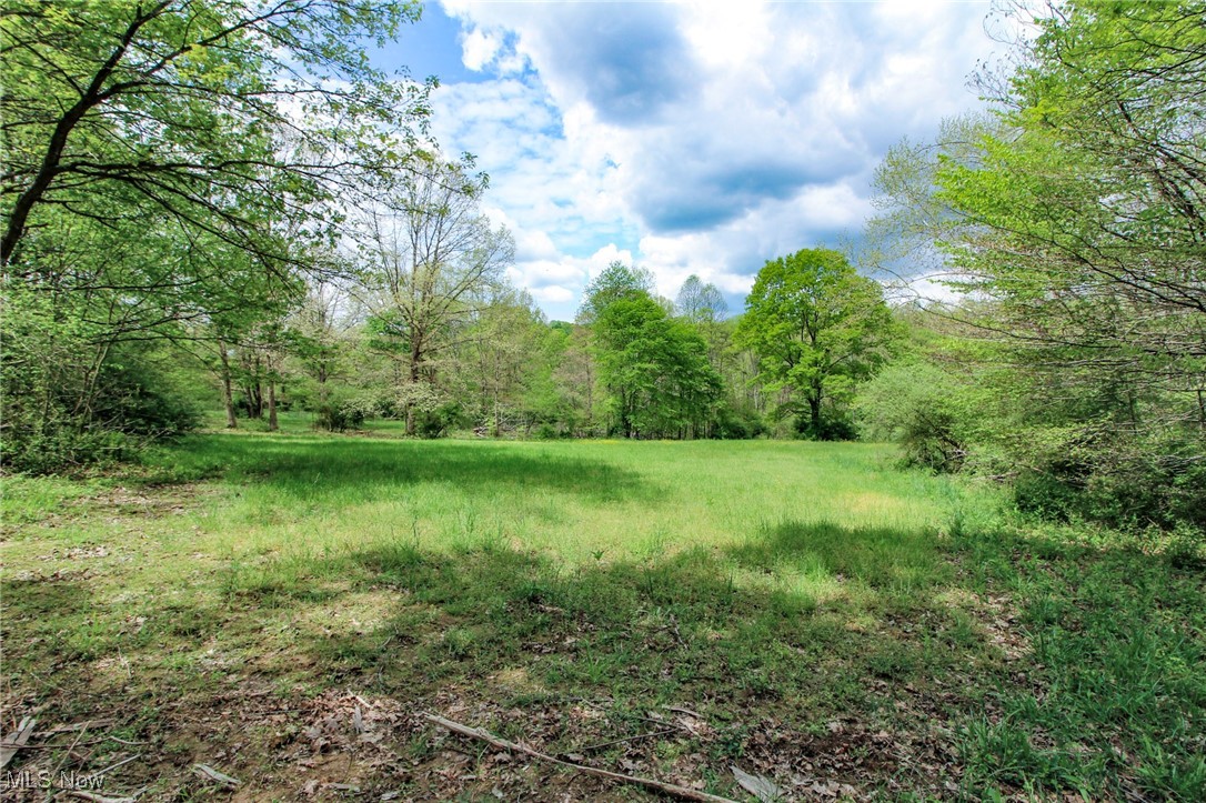 0 Dutch Ridge Road New Straitsville, OH 43766 - Photo 14 of 28 View of yard with a wooded view