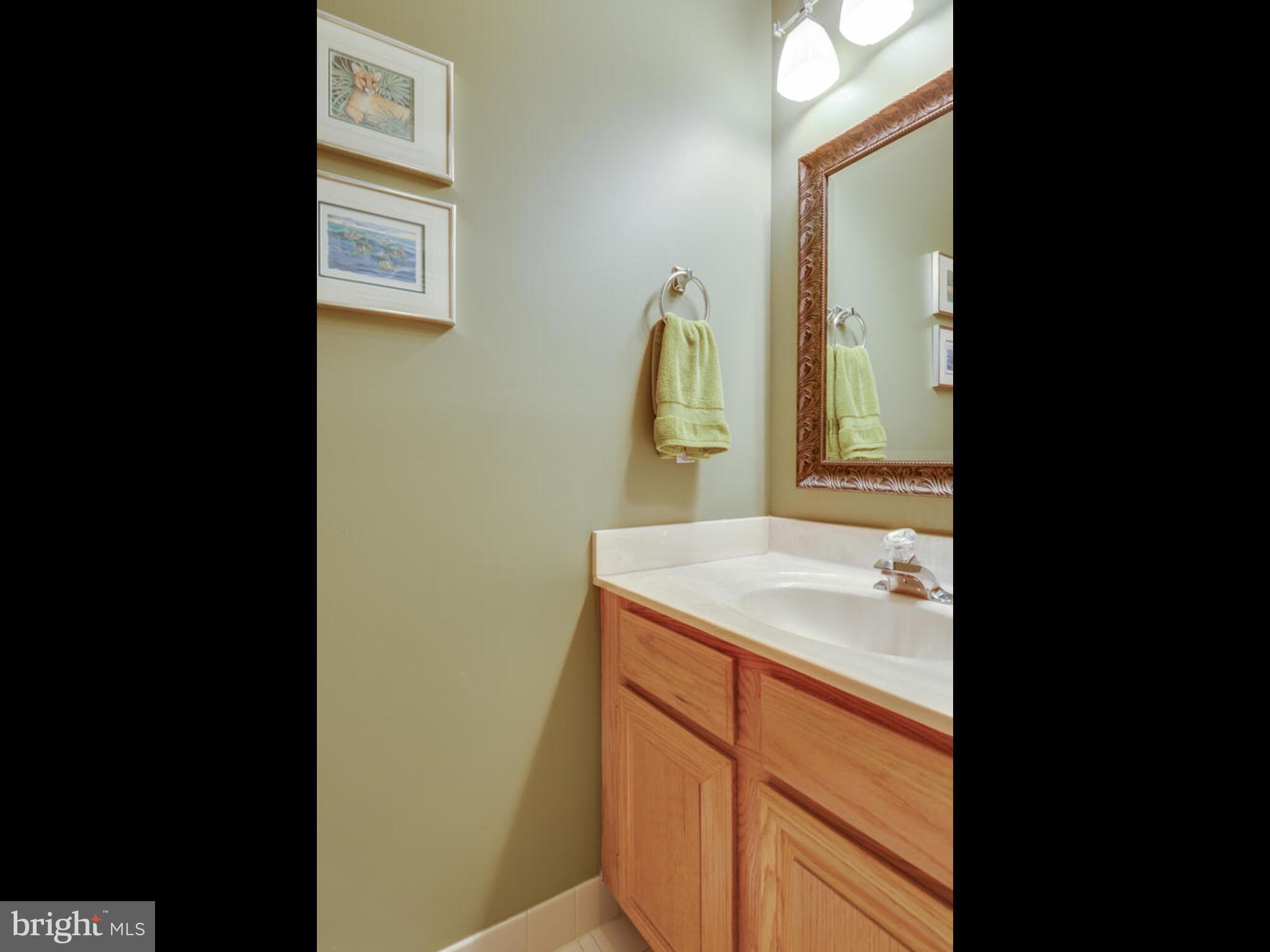 11300 Fairwind Way Reston, VA 20190 - Photo 47 of 53