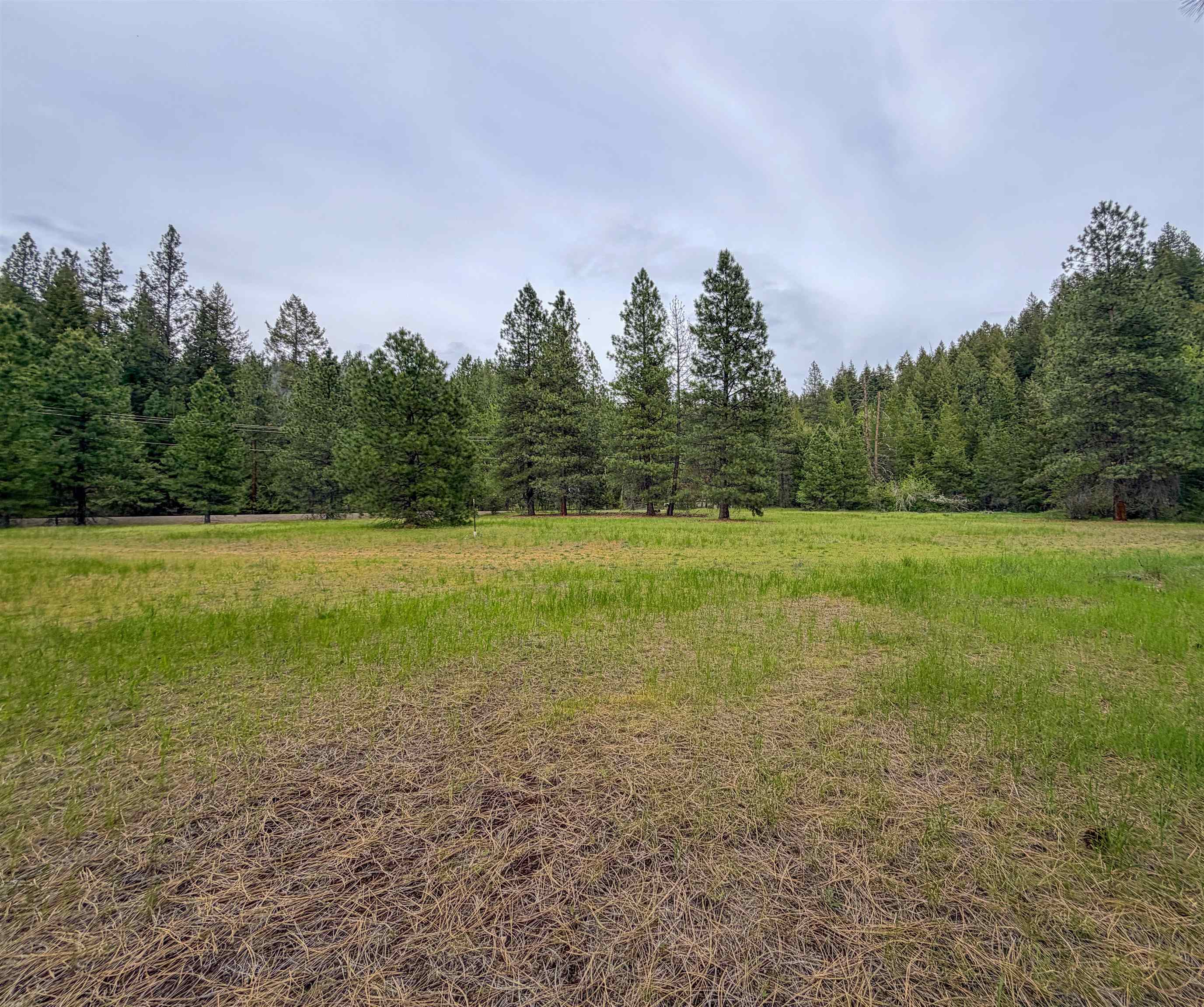 14451 LeClerc Road North Cusick, WA 99119 - Photo 30 of 33