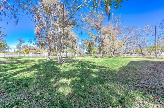a view of field with trees