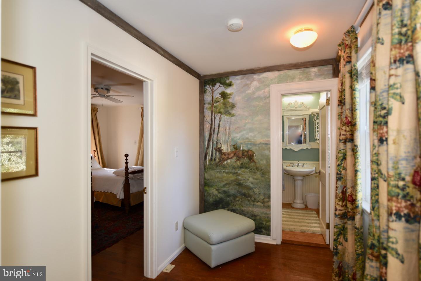 124 Rolling Road Sperryville, VA 22740 - Photo 19 of 37 Second Floor Hall with Mural