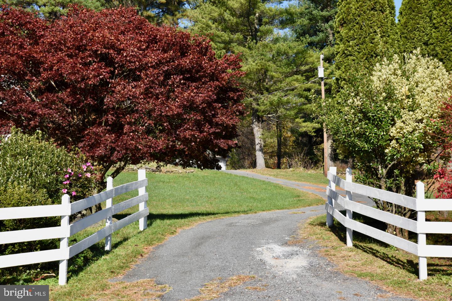 124 Rolling Road Sperryville, VA 22740 - Photo 3 of 37 Driveway Entrance