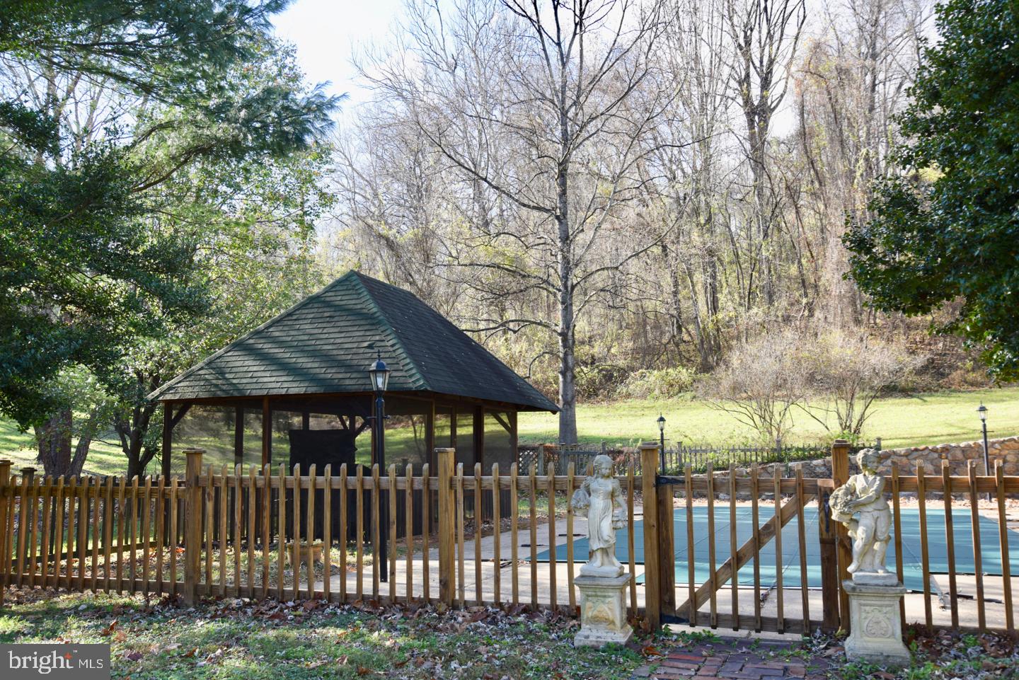 124 Rolling Road Sperryville, VA 22740 - Photo 28 of 37 Pool and Pavilion
