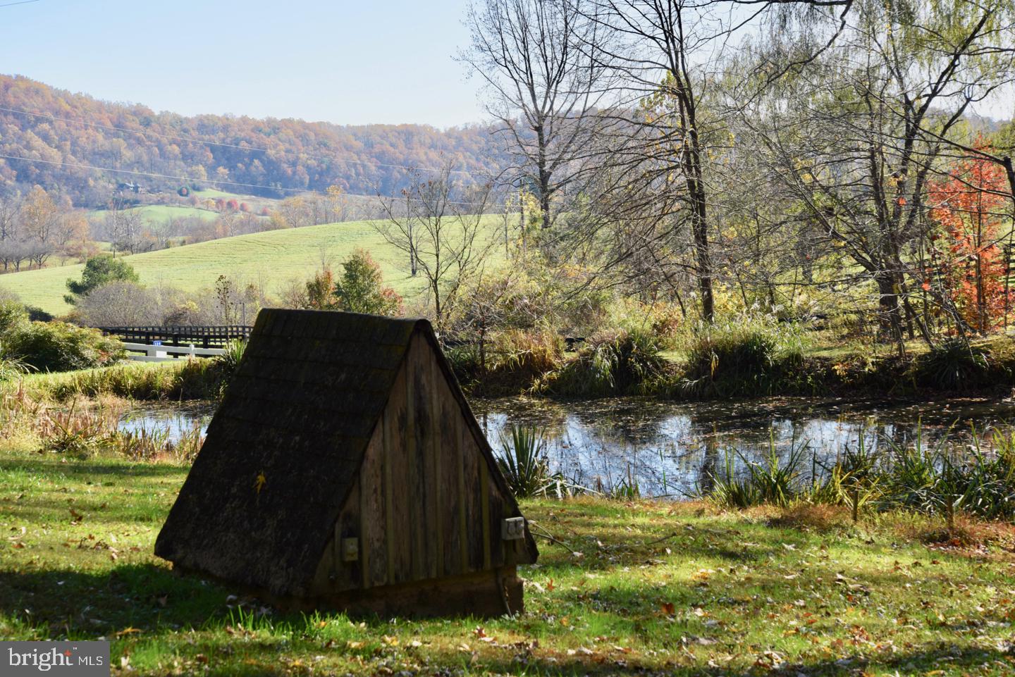 124 Rolling Road Sperryville, VA 22740 - Photo 33 of 37 Lily Pond