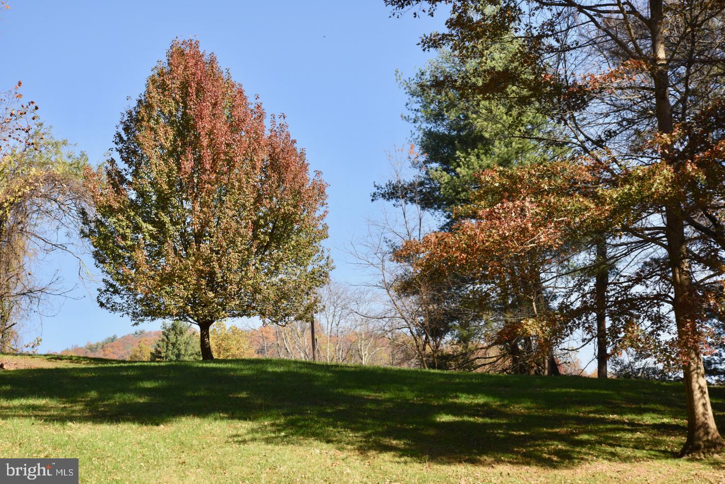 124 Rolling Road Sperryville, VA 22740 - Photo 34 of 37 Back Yard