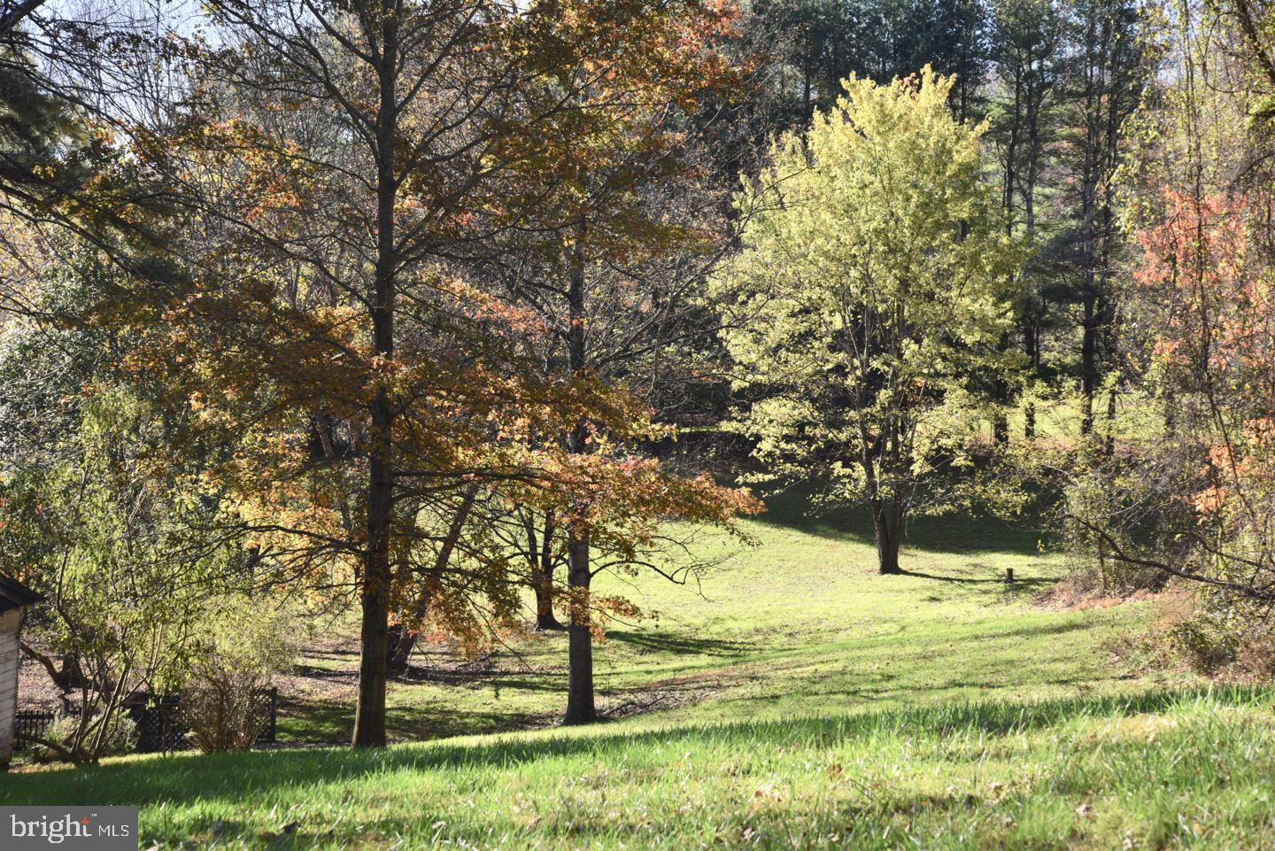 124 Rolling Road Sperryville, VA 22740 - Photo 36 of 37 Side Yard
