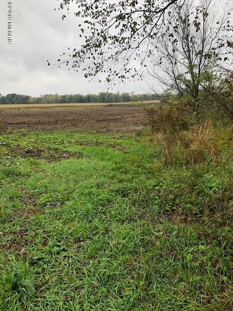 540 East Lockwood Road Coldwater, MI 49036 - Photo 34 of 41 IMG_1866