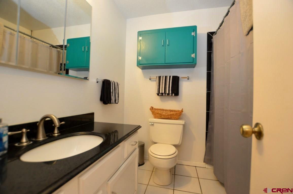 565 Antelope Road Gunnison, CO 81230 - Photo 9 of 23 Guest bath with tub and shower.