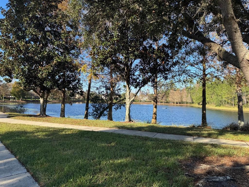 7621 Sutherton Lane Windermere, FL 34786 - Photo 8 of 15 a view of swimming pool with trees