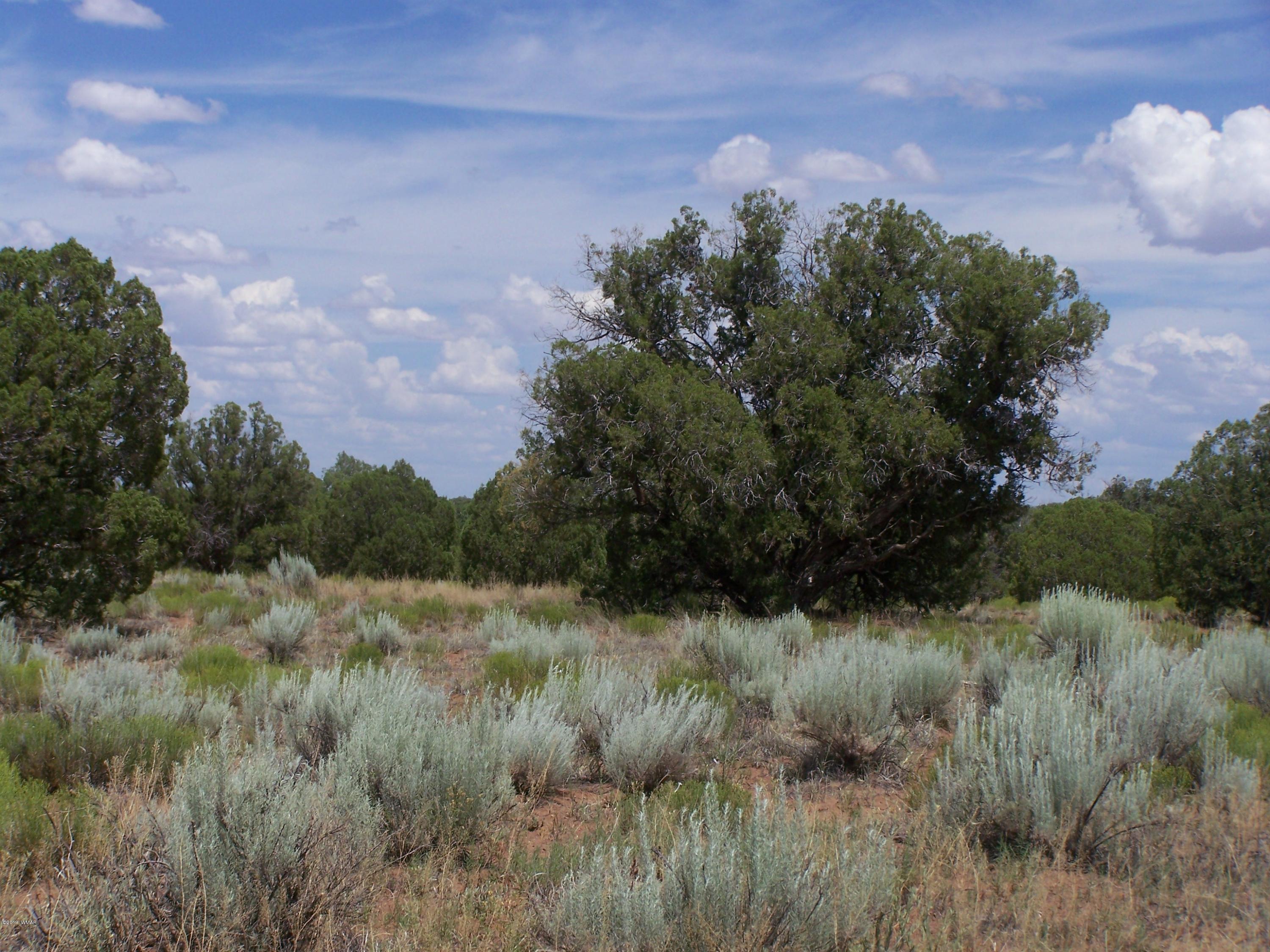 Tbd Tbd Old Hunt Road Concho, AZ 85924 - Photo 1 of 3
