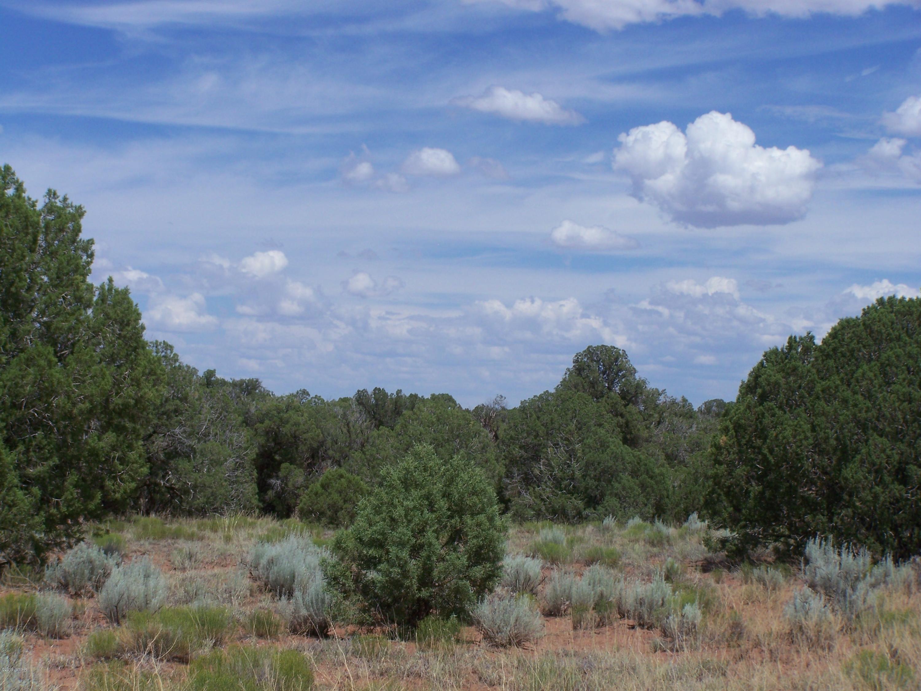 Tbd Tbd Old Hunt Road Concho, AZ 85924 - Photo 2 of 3