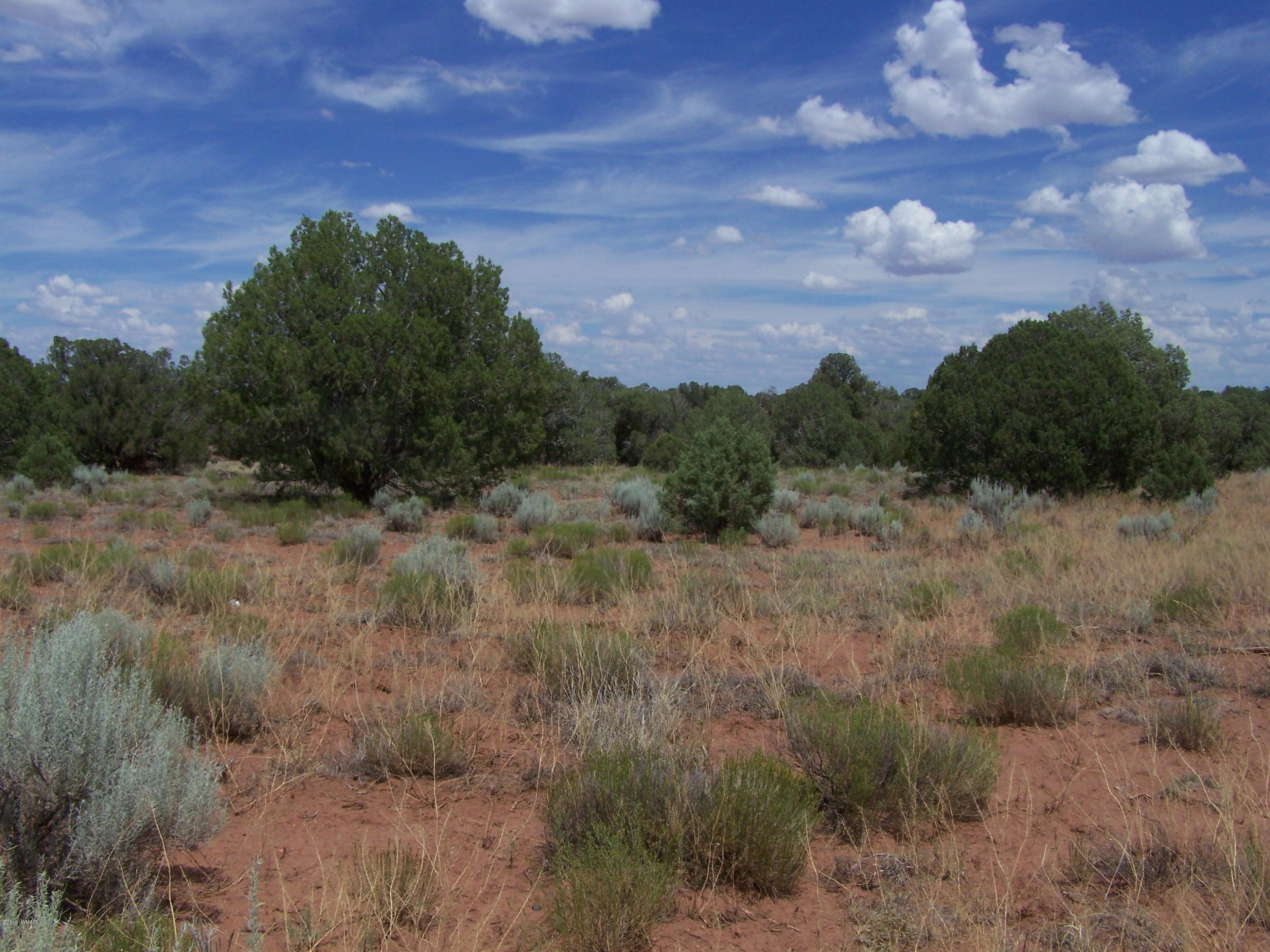 Tbd Tbd Old Hunt Road Concho, AZ 85924 - Photo 3 of 3