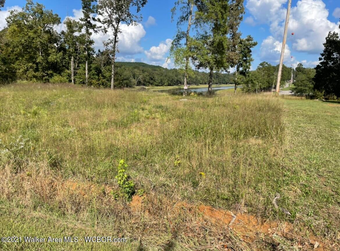 0 Co Road Crane Hill, AL 35053 - Photo 2 of 8 Gallery Image 2