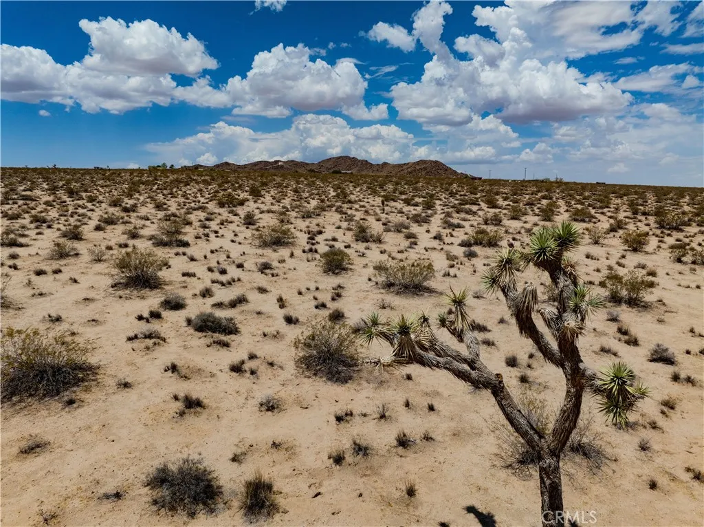 63840 Desert Lilly Road Joshua Tree, CA 92252 - Photo 27 of 34 a view of a sky
