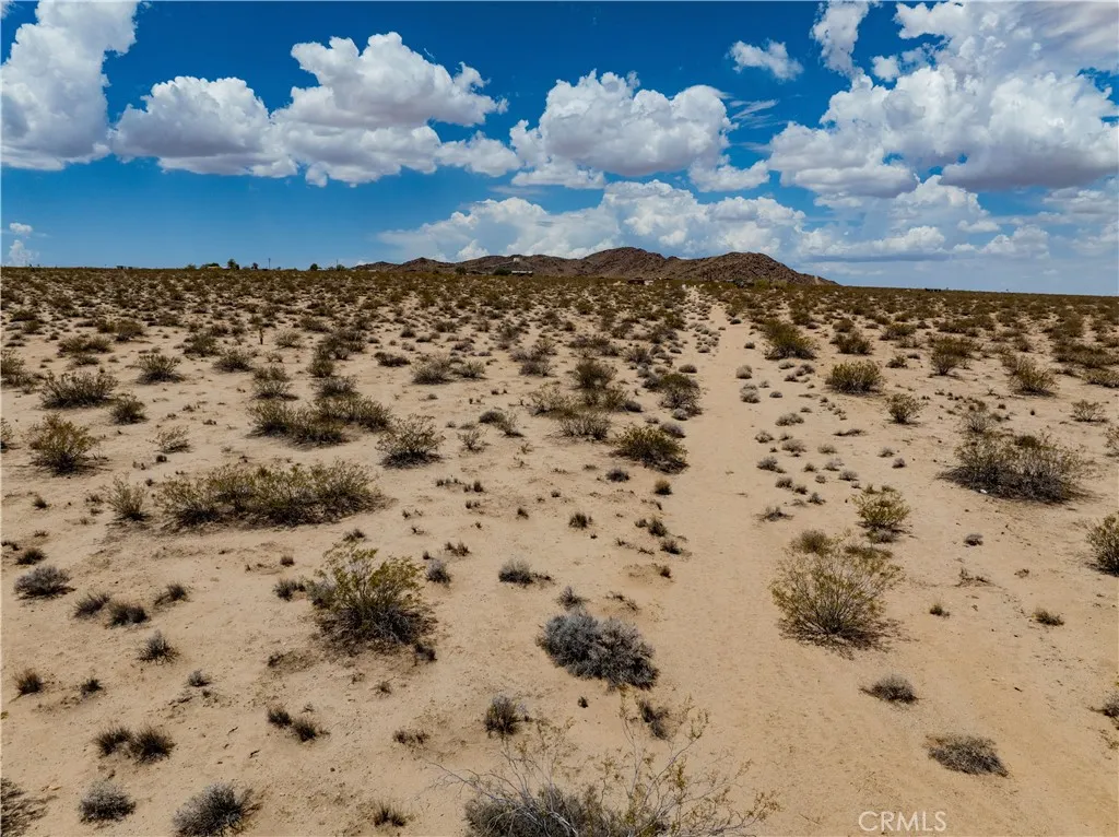 63840 Desert Lilly Road Joshua Tree, CA 92252 - Photo 3 of 34