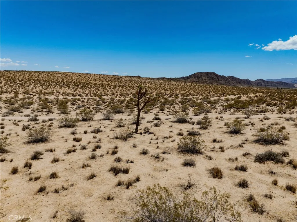 63840 Desert Lilly Road Joshua Tree, CA 92252 - Photo 31 of 34 a view of a sky