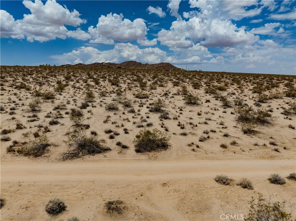 63840 Desert Lilly Road Joshua Tree, CA 92252 - Photo 34 of 34 a view of a dry yard