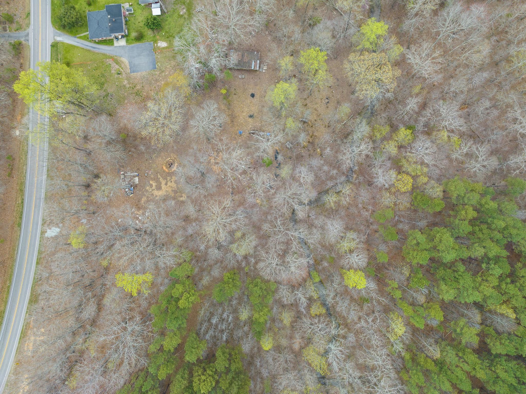 6035 Guess Road Durham, NC 27712 - Photo 3 of 10 a close up of a tree