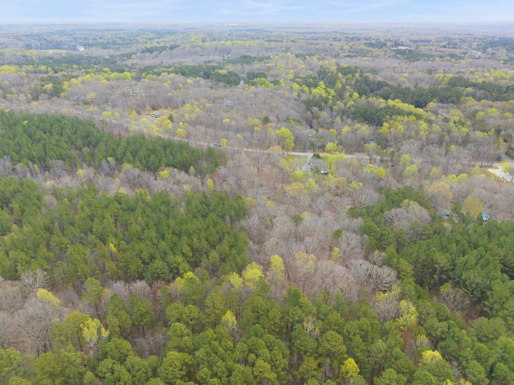 6035 Guess Road Durham, NC 27712 - Photo 5 of 10 an aerial view of forest