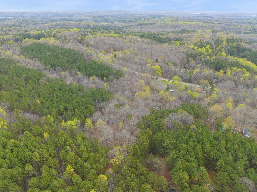 6035 Guess Road Durham, NC 27712 - Photo 6 of 10 an aerial view of forest