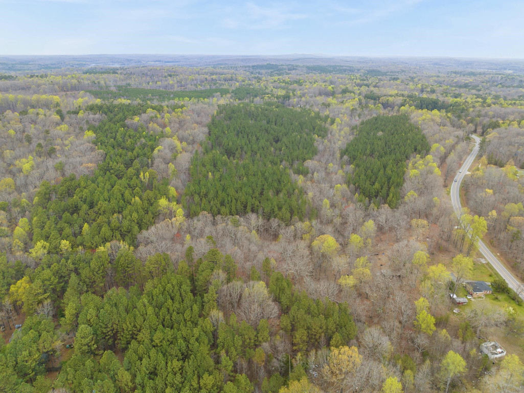 6035 Guess Road Durham, NC 27712 - Photo 7 of 10 a view of a city with an outdoor space