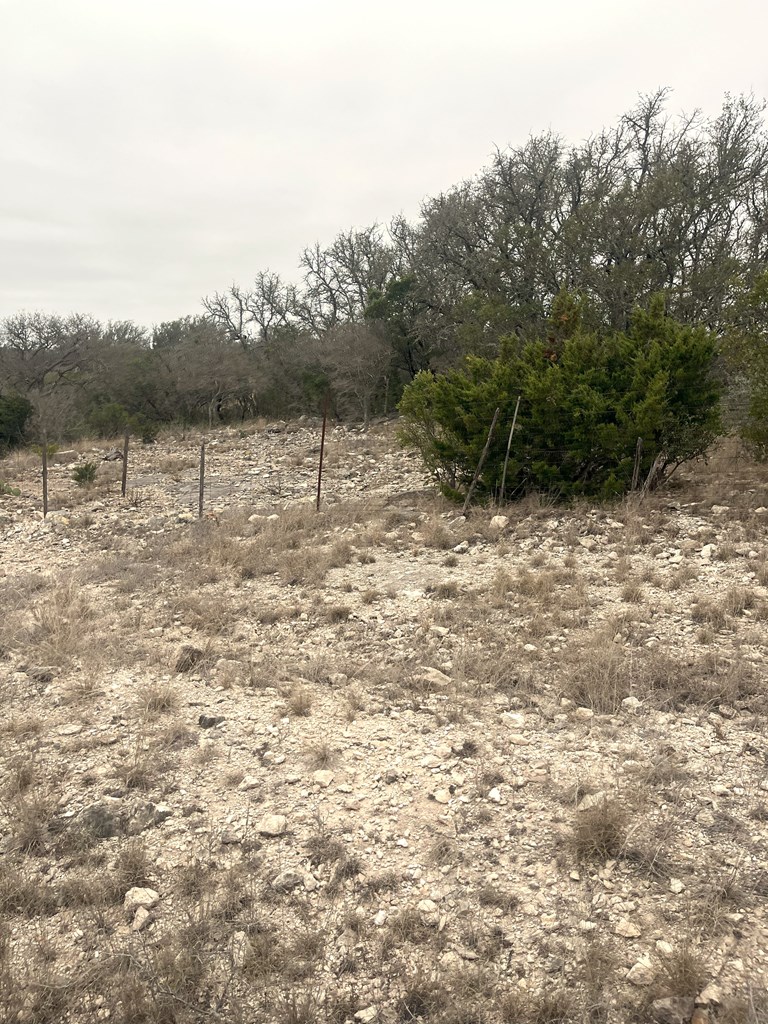 0 Other Rocksprings, TX 78880 - Photo 28 of 61