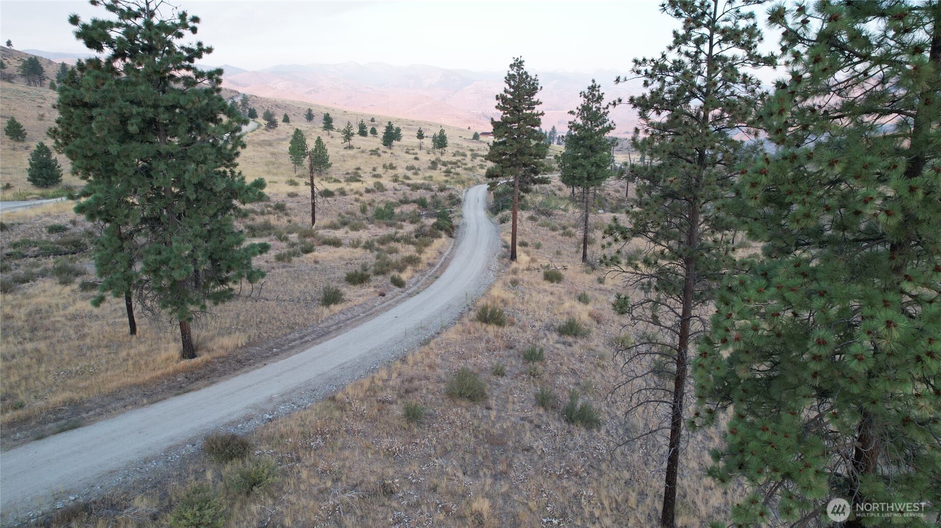 15 Sawtooth View Road Pateros, WA 98846 - Photo 17 of 21 a view of a forest with trees