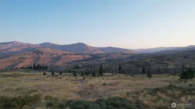 a view of a dry field with mountains in the background