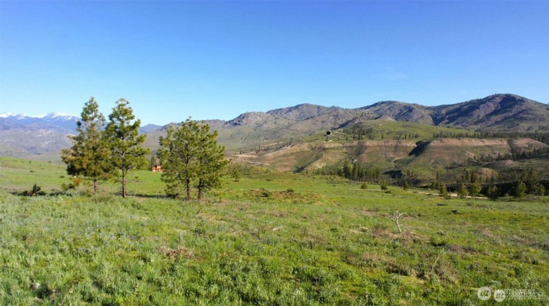 15 Sawtooth View Road Pateros, WA 98846 - Photo 2 of 21 a view of a lush green outdoor space with a lake view