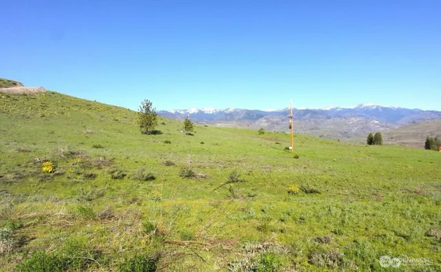 a view of a lush green field with mountains in the background