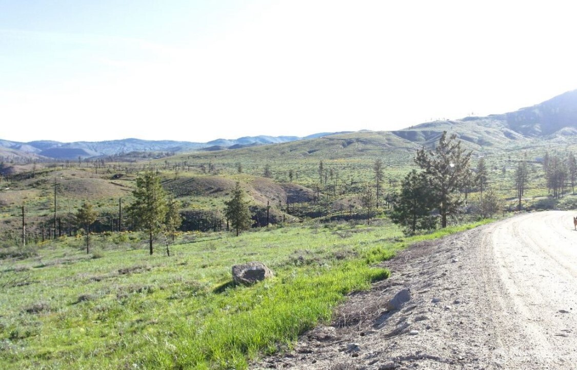 15 Sawtooth View Road Pateros, WA 98846 - Photo 6 of 21 a view of a lush green field with mountains in the background