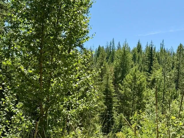 $174,500 | Tbd Tbd Perelandra Circle, Danville, WA 99121