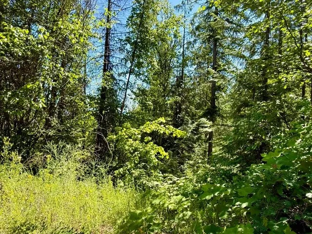 $174,500 | Tbd Tbd Perelandra Circle, Danville, WA 99121