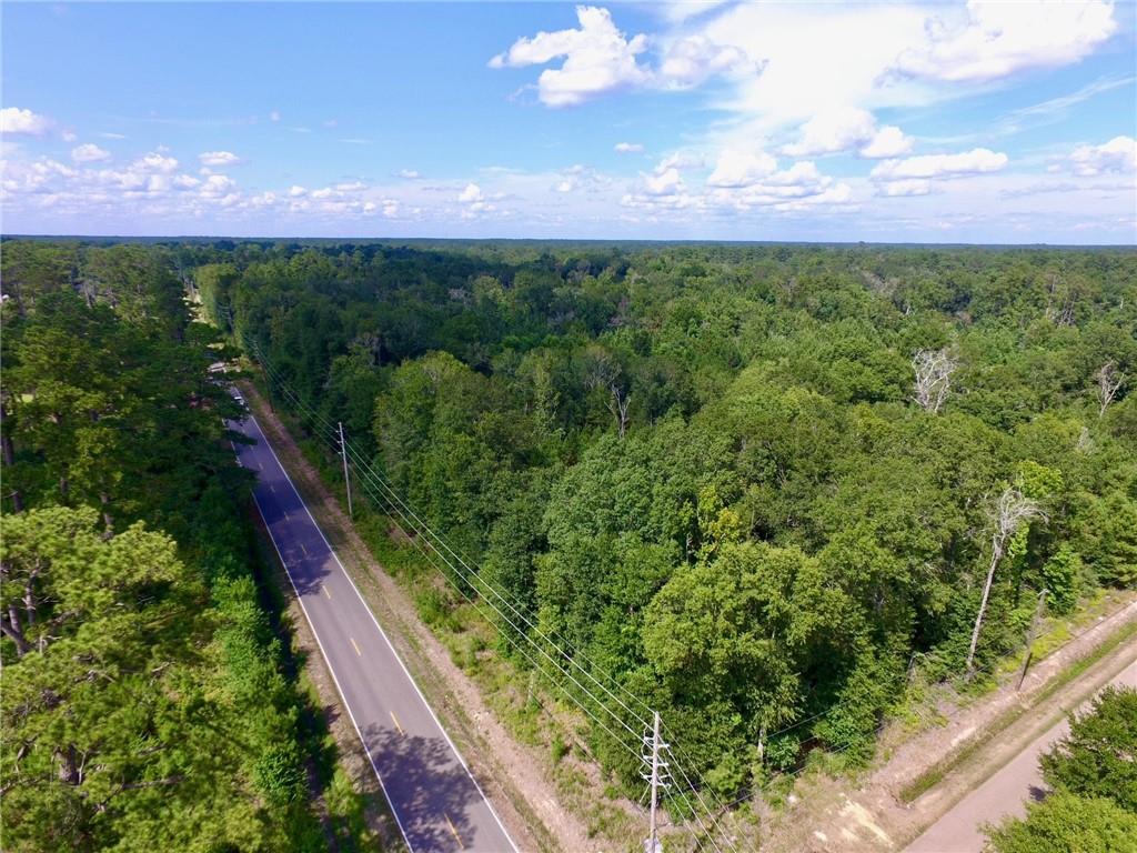 0 Rufus Bankston Road Hammond, LA 70401 - Photo 2 of 7