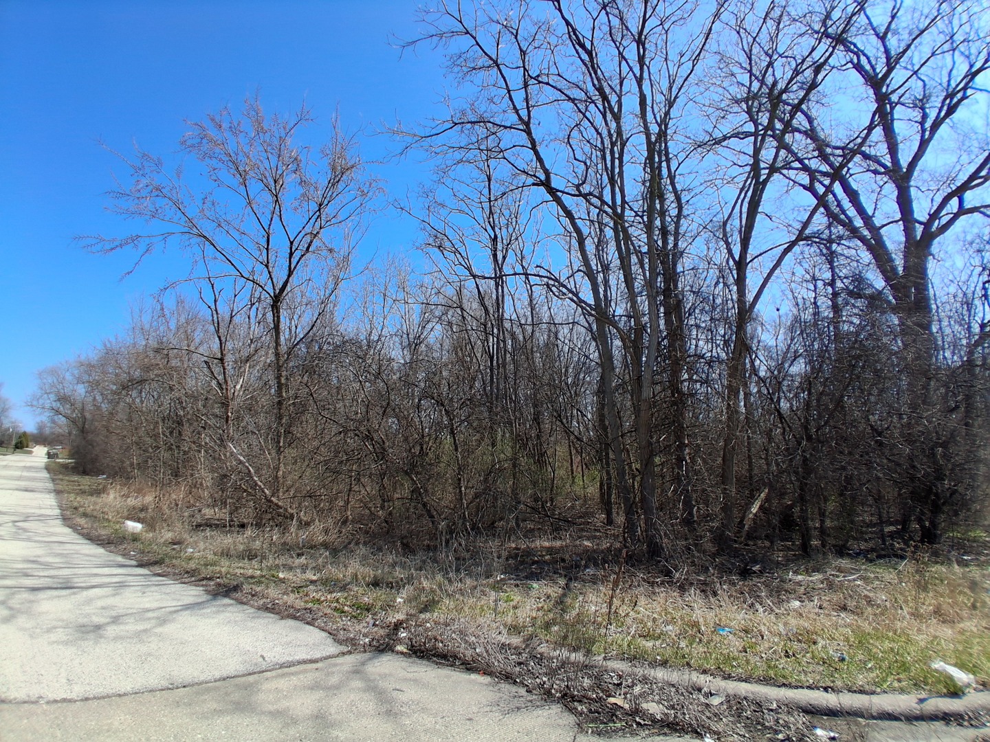 36245 North Green Bay Road Waukegan, IL 60087 - Photo 4 of 11 a view of a yard
