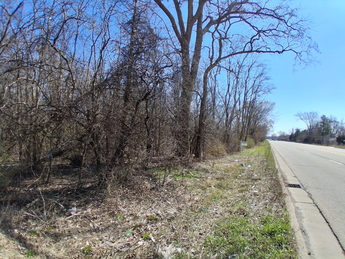 36245 North Green Bay Road Waukegan, IL 60087 - Photo 5 of 11 a view of a yard covered with trees
