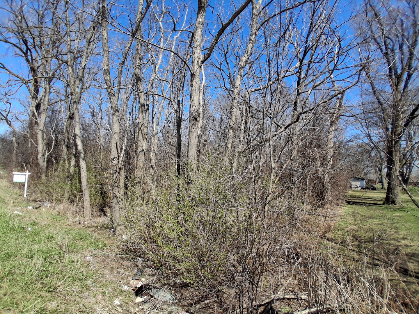 36245 North Green Bay Road Waukegan, IL 60087 - Photo 6 of 11 a backyard of a house with lots of green space