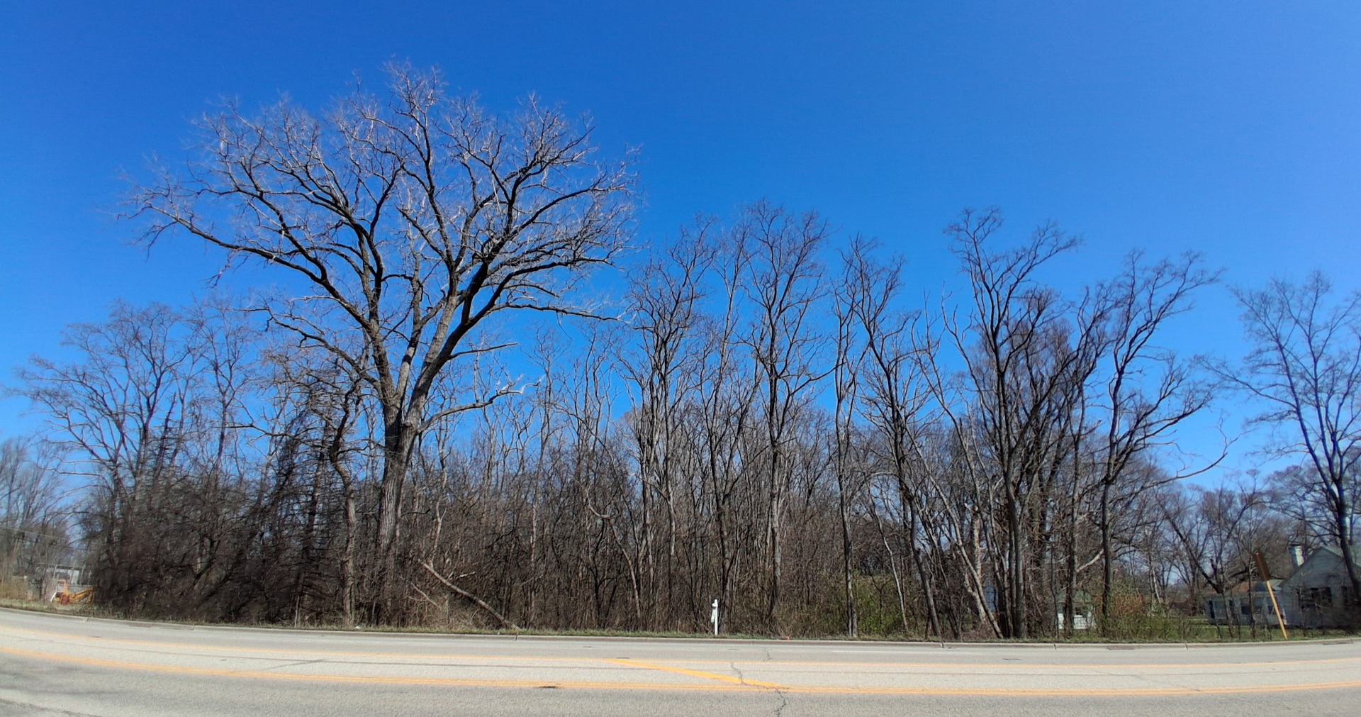 36245 North Green Bay Road Waukegan, IL 60087 - Photo 7 of 11 a view of a yard in a house